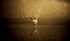 photo-1439436556258-1f7fab1bfd4f